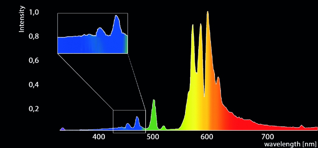 gib-flower-spectrum-xtreme-8275.jpg