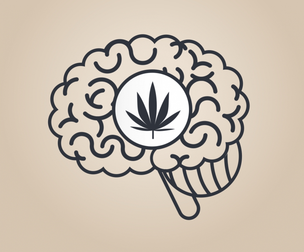 mozg-cannabis-oddzialywanie-7.jpg