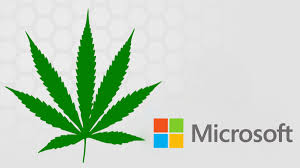 microsoft-ziolo-marihuana-1.jpg