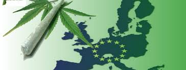 marihuana-konopia-europa-1.jpg